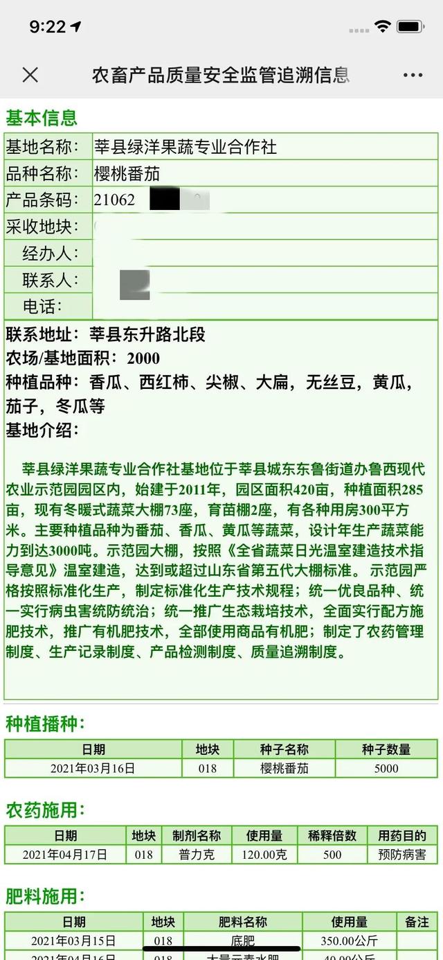 莘县，一张“蔬菜名片”的诞生