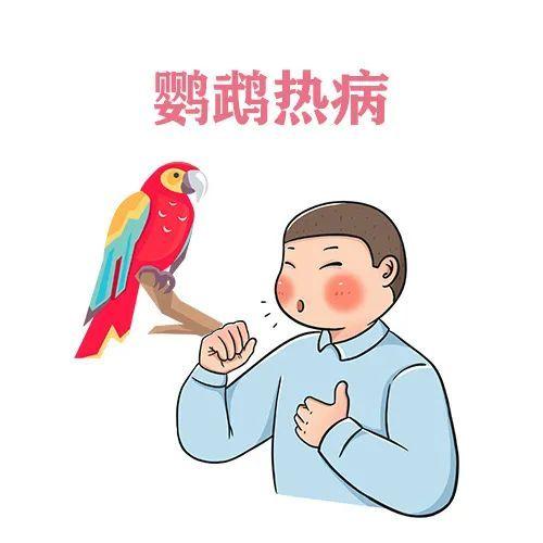 鹦鹉热是什么病