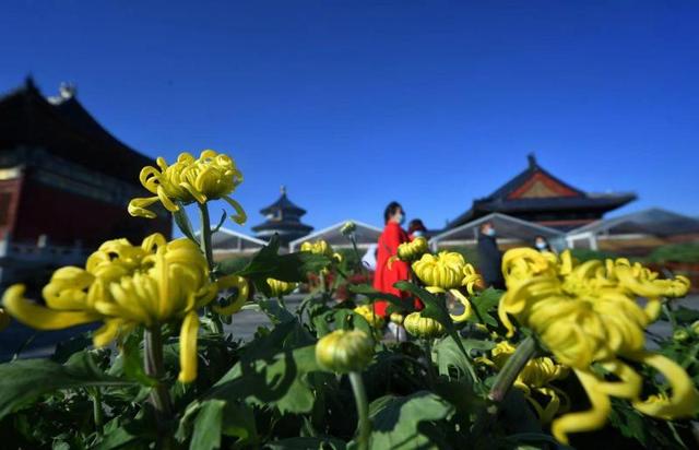 第二十二届北京国际照相机械展