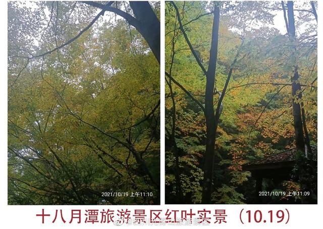 四川五日游最佳路线