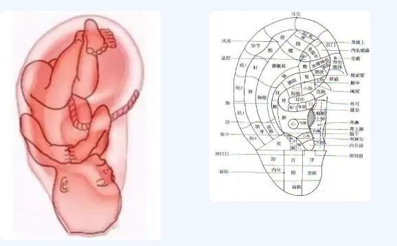 今日霜降，区第三人民医院医生提醒：秋季养生有妙招