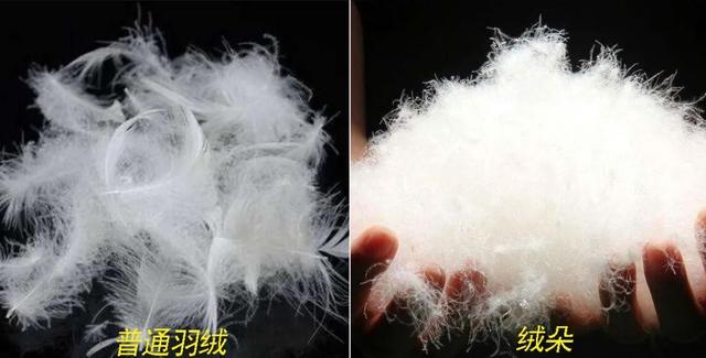 羽绒裤哪个牌子好 羽绒裤哪个牌子好