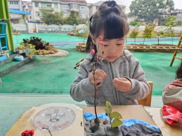 巍山中心幼儿园象岗园区：拾一抹秋色 绘绚丽秋景