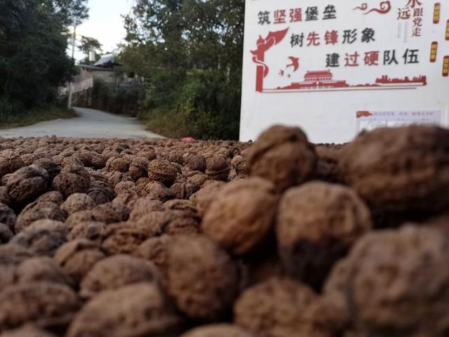 关于保山真空陶瓷过滤机的信息
