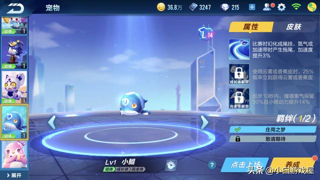 qq飞车宠物名字大全