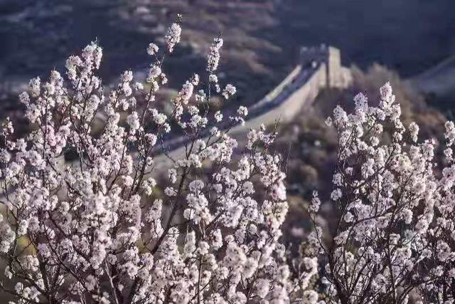 八达岭图片