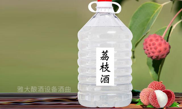 资阳荔枝酒过滤机