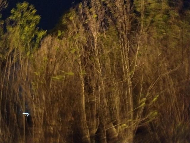 让智慧伴随孩子成长