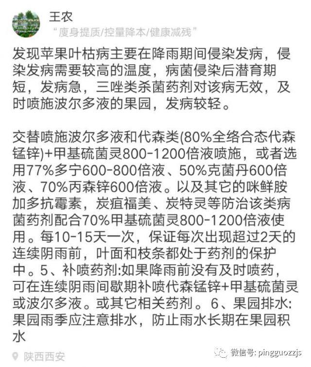 炭疽菌叶枯病要来了怎么办，别慌，一线专家给您答案5