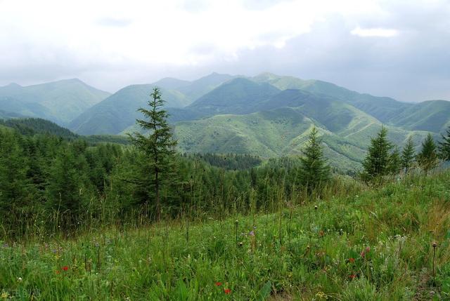 六盘山在哪里