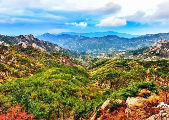 山东秋天景点排行榜前十名（人间最美是秋色）(12)