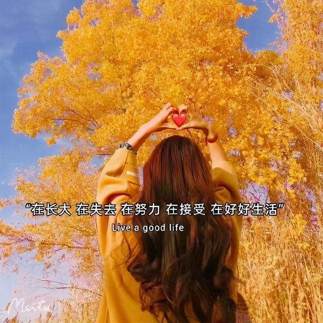 (抖音背景)抖音热门文字朋友圈背景图 - 北京号-专业信息资讯平台