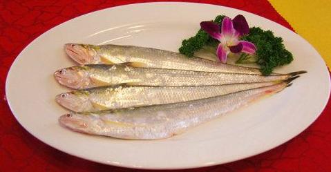 河刀鱼河刀鱼目前市场价多少一斤