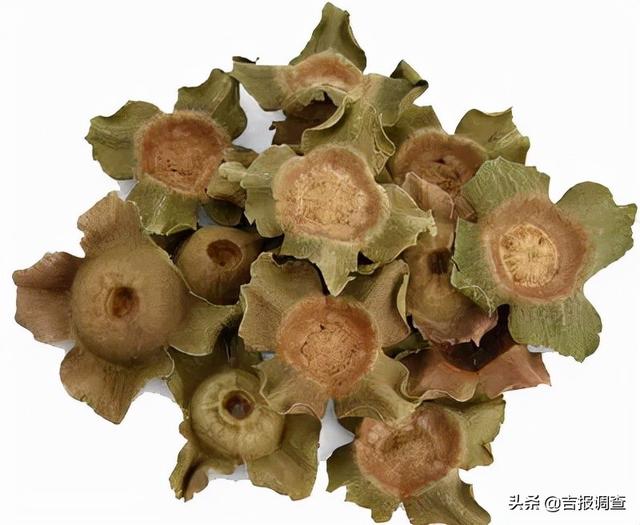 扔掉了太可惜 中医专家提醒 柿子浑身是宝 蒂和叶子也是良药 全网搜