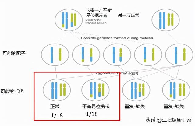 省妇幼保健院辅助生殖中心省内率先开展第三代试管婴儿“脱染”新技术
