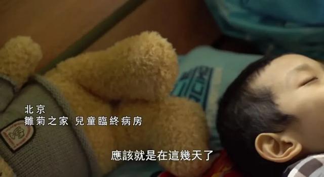 每一个生命都是有意义的，可能不是立即看得到