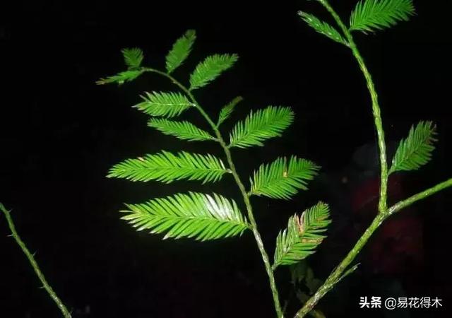 勐腊螺旋洗砂机批发