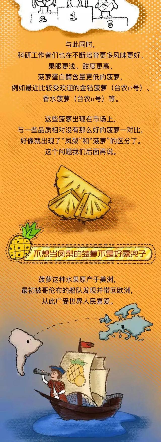 凤梨是什么水果