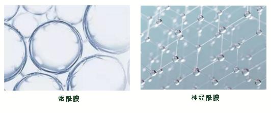 雪玲妃美白身体乳