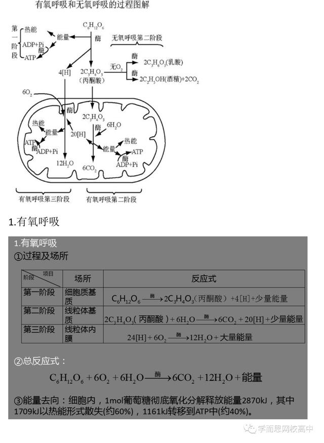 呼吸作用