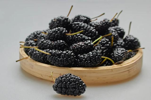 身体有病吃什么好？这里有答案！