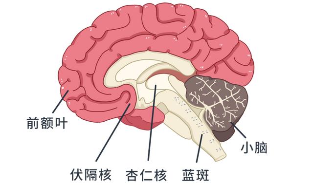 如何提高专注力