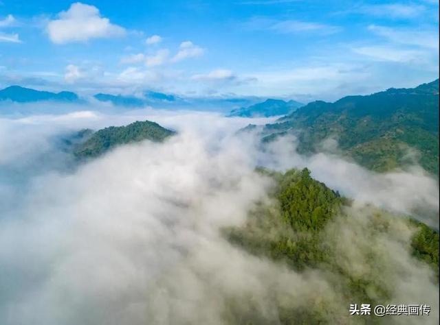全自动过滤机模型