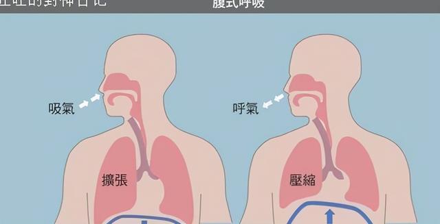 生活中出现“腹胀”情况应如何改善？以下4点，或可帮助你