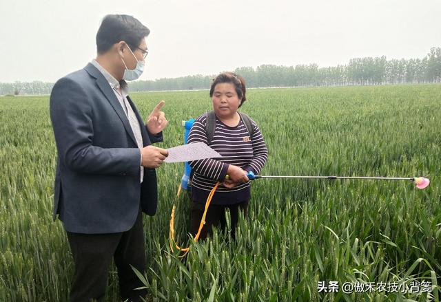 小麦抽穗扬花期重点防治赤霉病，打药时机的选择是关键