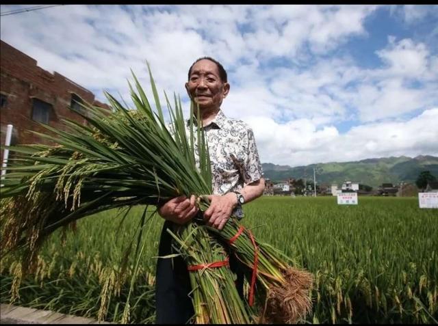 袁隆平是哪里人