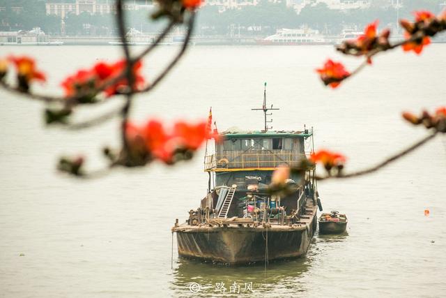 广州市市花