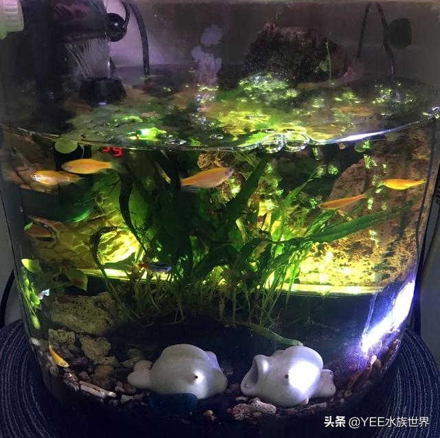 家用微型水过滤机