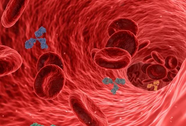 如何饮食，有助预防动脉粥样硬化？