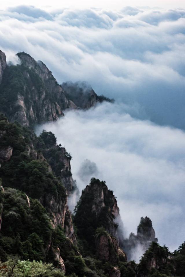 老君山风景区在哪里