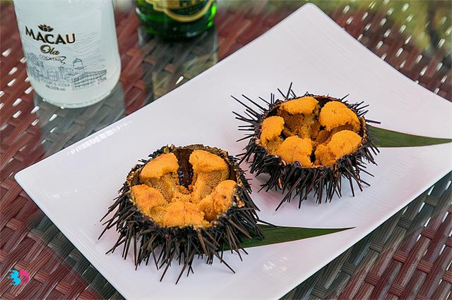 很多人爱吃海胆，海胆能和水果一起吃吗？海胆不能随意搭配