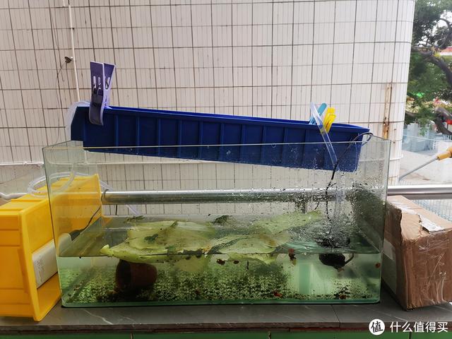 大蜗牛制砂机