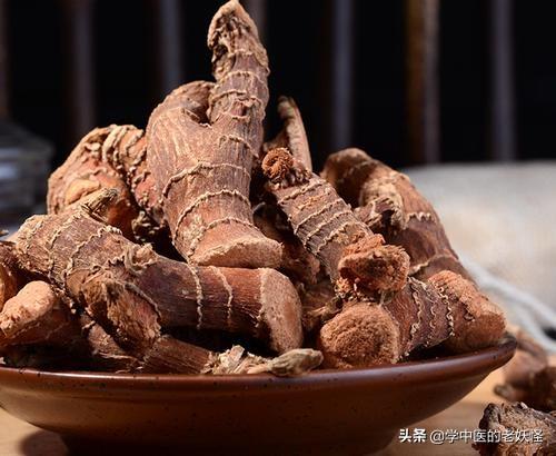 每日一中药——高良姜