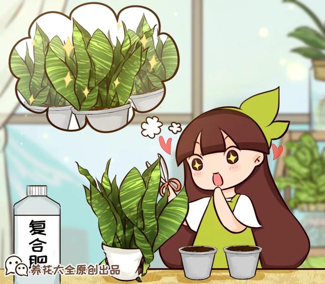 小杜鹃图片(小杜鹃图片大全)