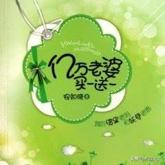 女主是神偷的穿越逃婚小说（女主是神偷的反穿越小说）