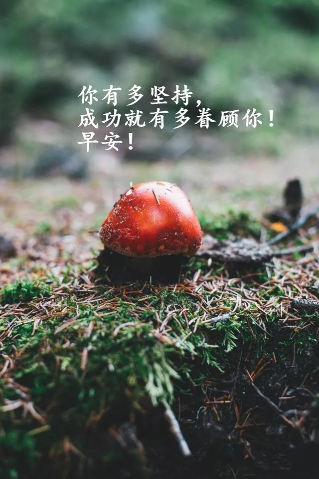 星期四早安心语正能量图片：坚定你的脚步，铺设通天坦途