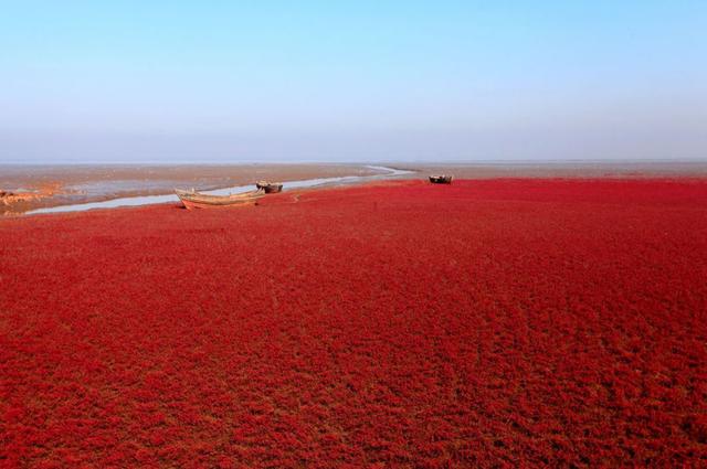 紅海海灣內部的海水為什麼是紅色的(紅海海灣內部的水為什麼是紅色的)