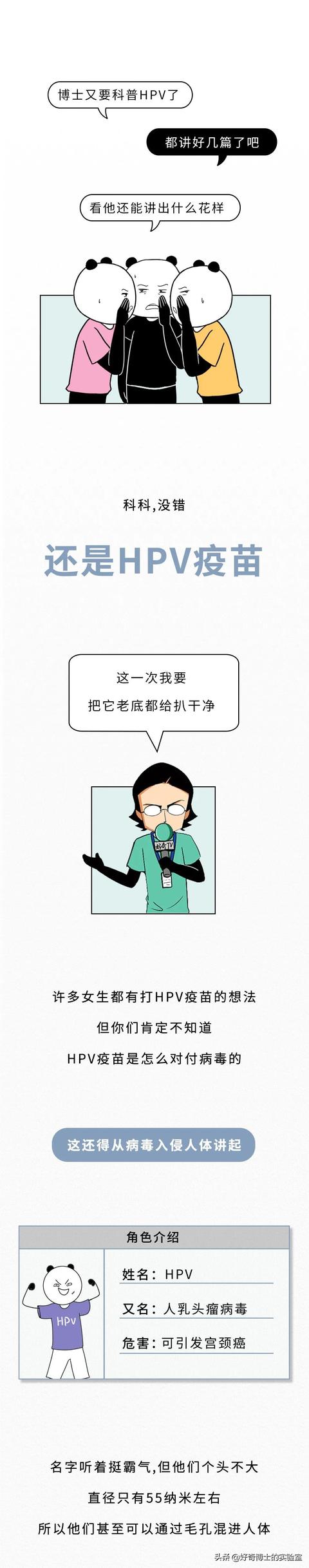 女生说科科是什么意思