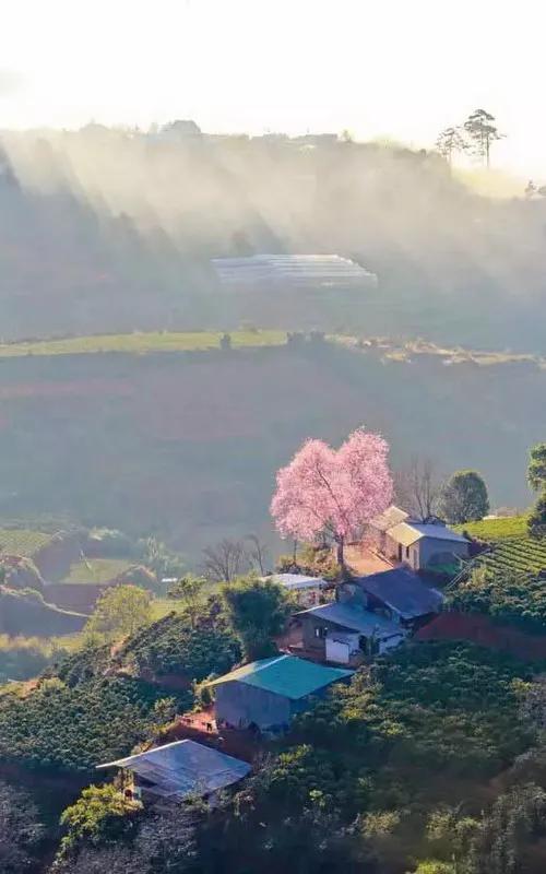 风景优美的图片