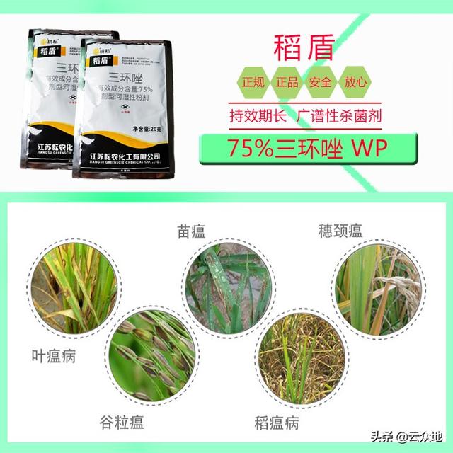 三环唑是预防水稻稻瘟病的特效药，使用30多年仍有优越的防效2