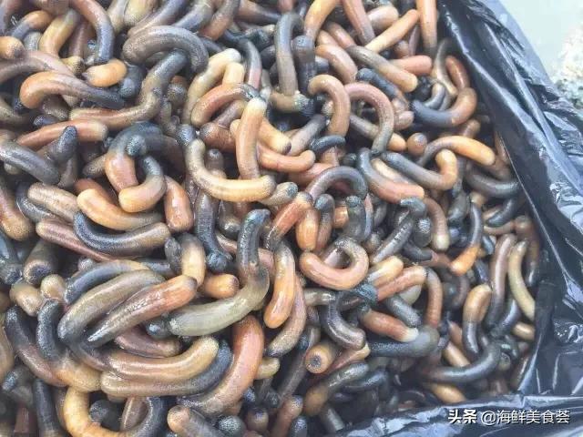 海鲜种类
