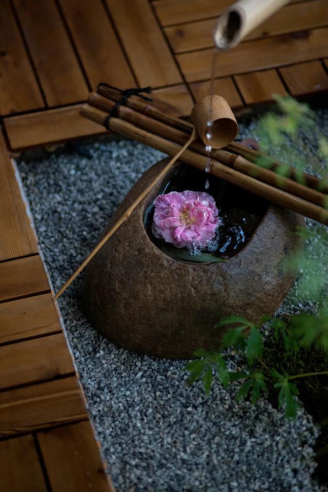 芙蓉花开 芙蓉花开（芙蓉花开花特点） 生活