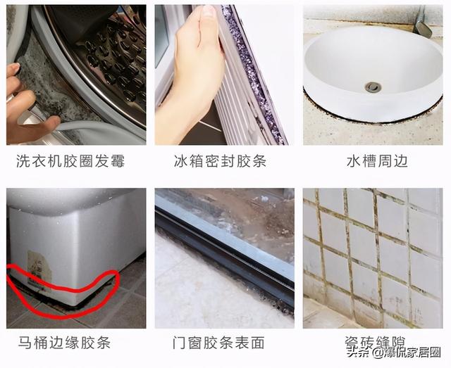 鱼鳞步织是不是纯棉