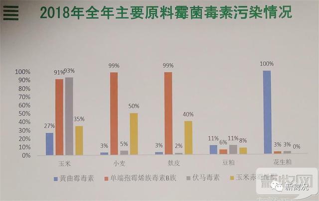 小鸡开口料破碎机