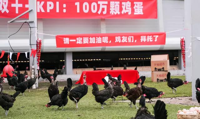 晒一晒互联网大厂们的双十一“鸡血”