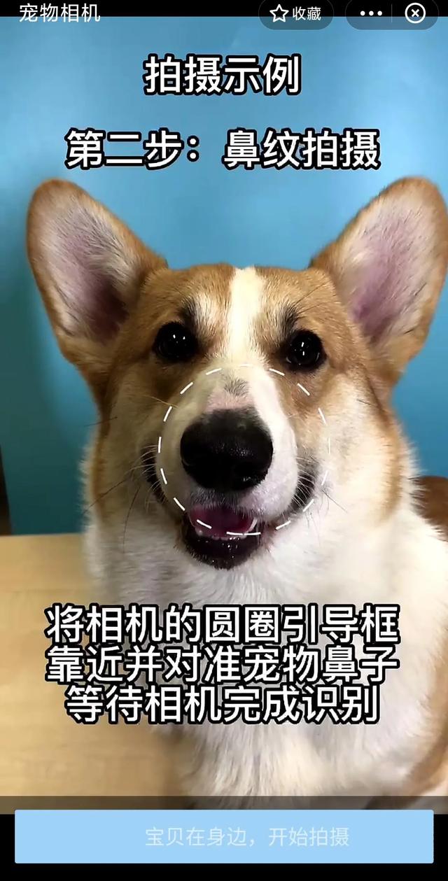 狗狗搜书